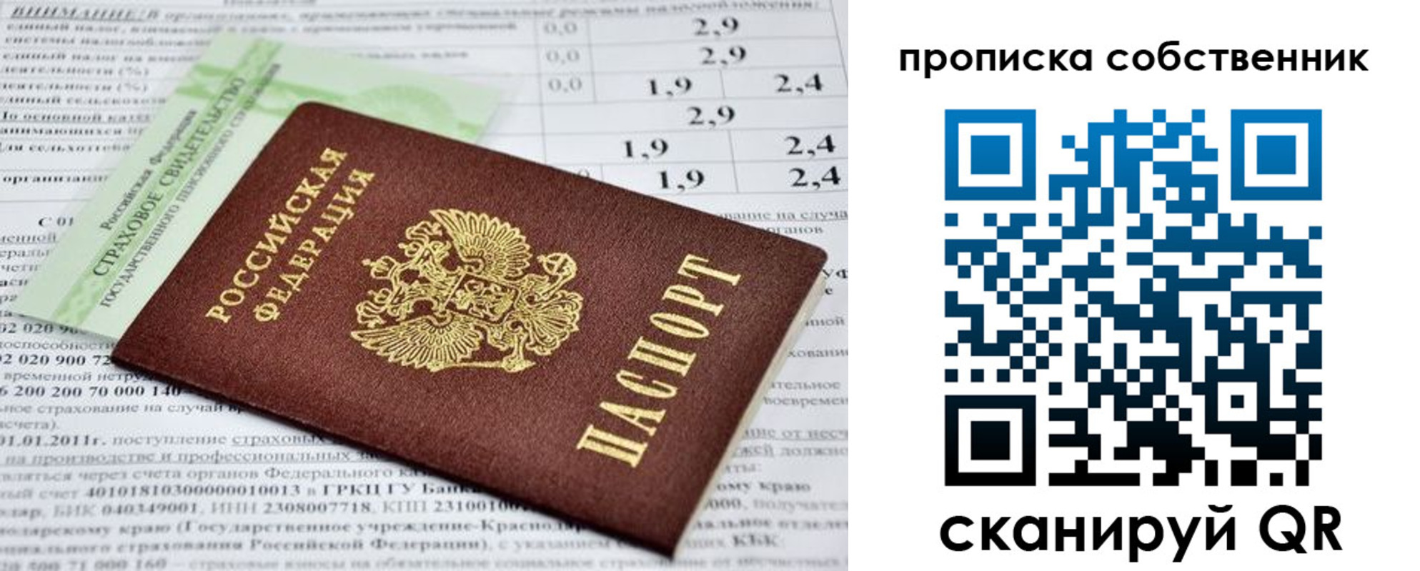 прописка 2025 в Химках
